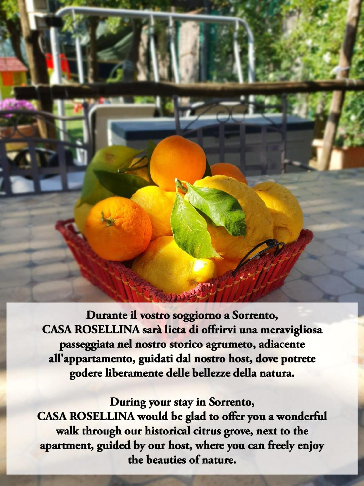 Casa Rosellina Sorrento Villa Bagian luar foto